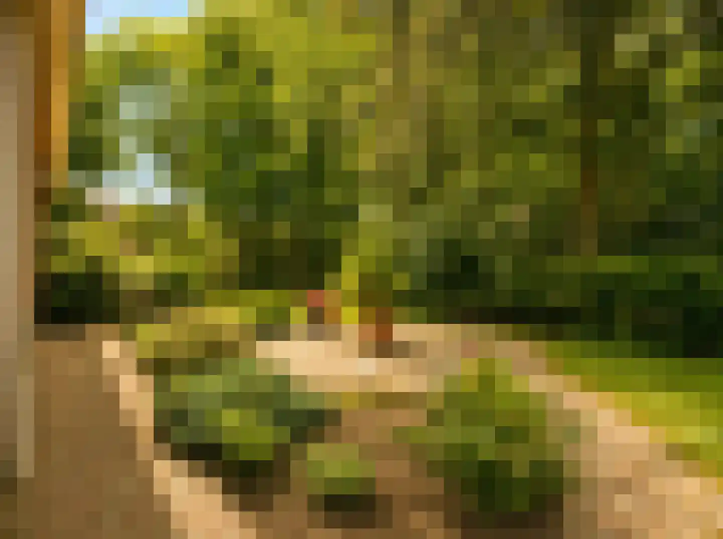 Marijkeweg 23 Ouddorp thumbnail 36