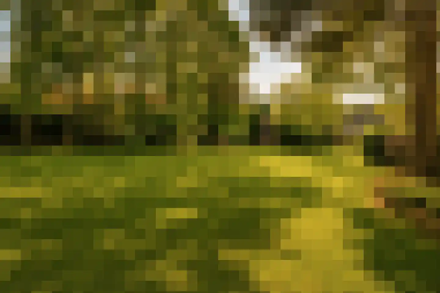 Marijkeweg 23 Ouddorp thumbnail 37
