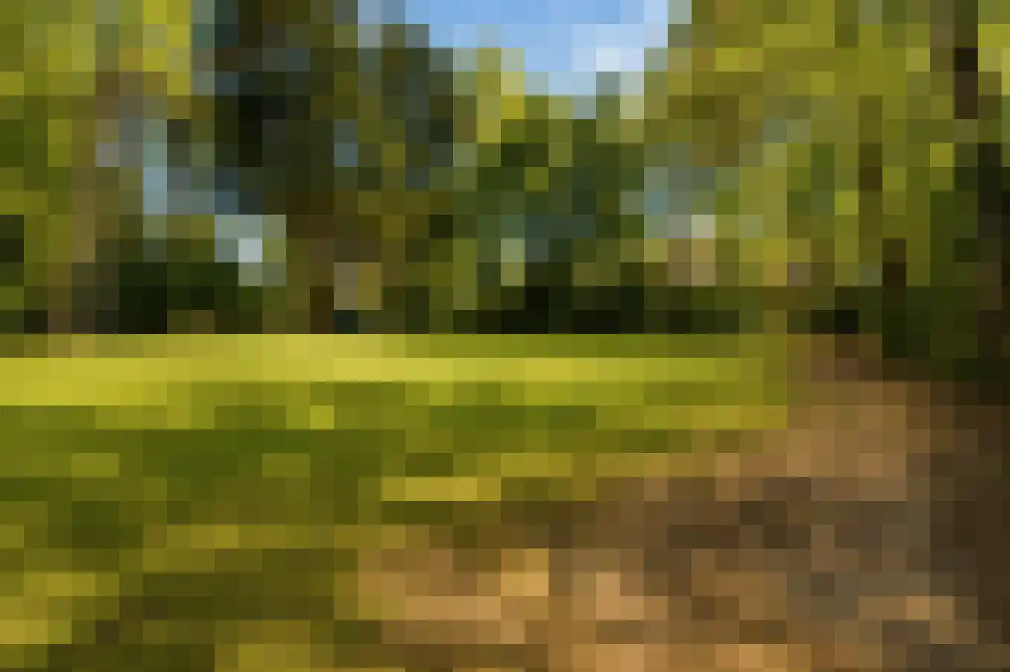Marijkeweg 23 Ouddorp thumbnail 38
