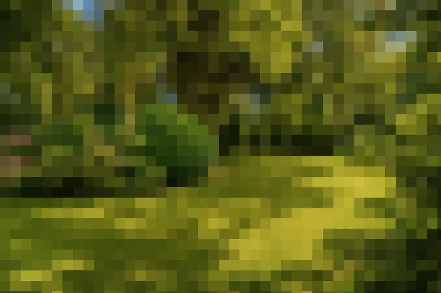 Marijkeweg 23 Ouddorp thumbnail 39