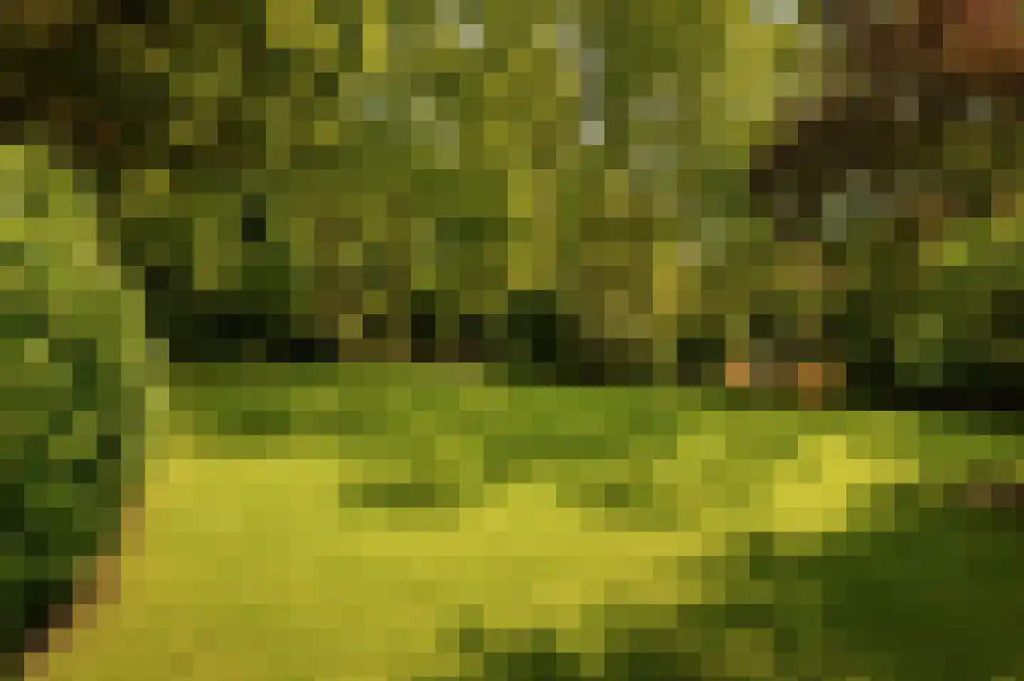 Marijkeweg 23 Ouddorp thumbnail 40