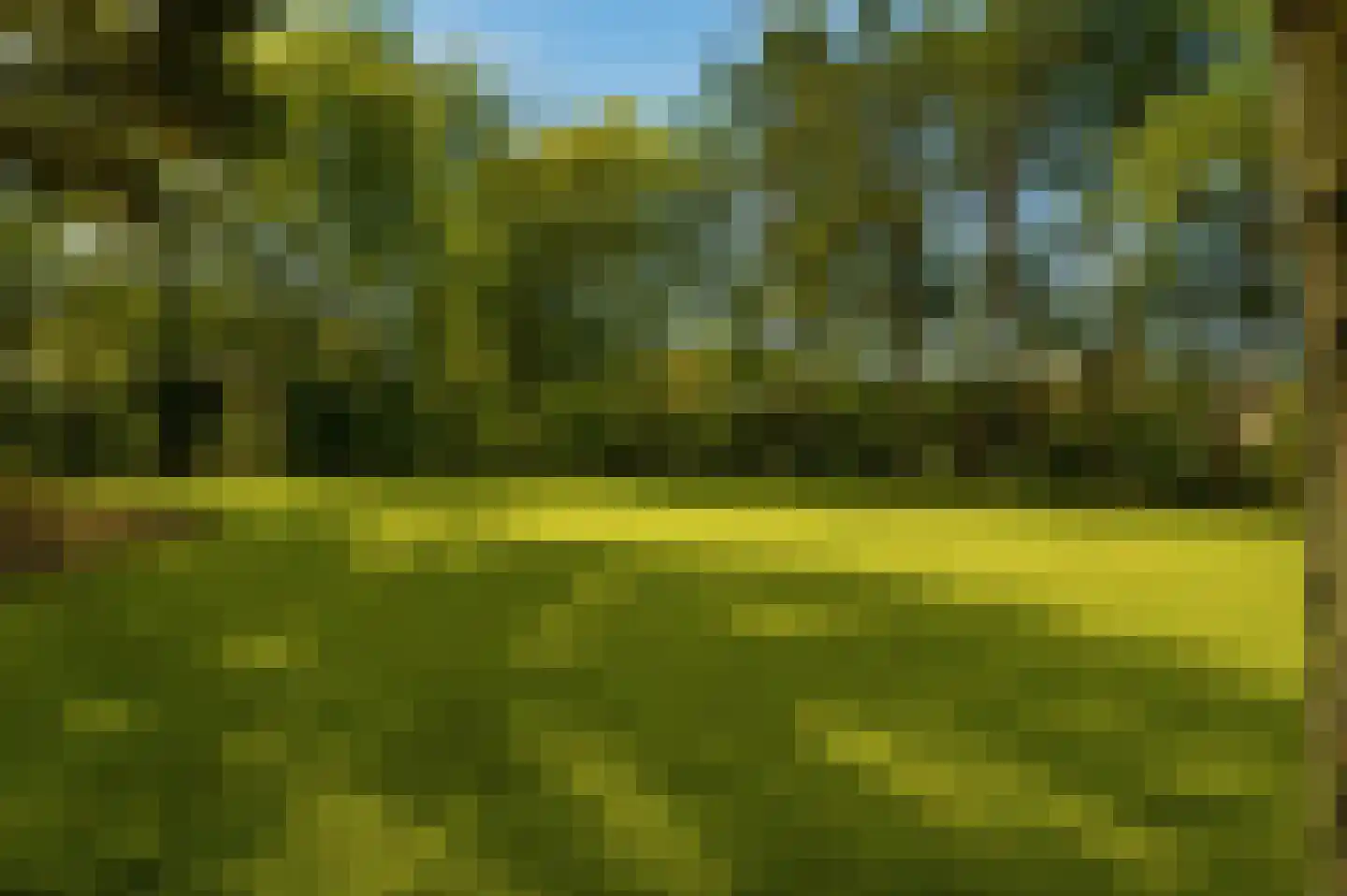 Marijkeweg 23 Ouddorp thumbnail 41