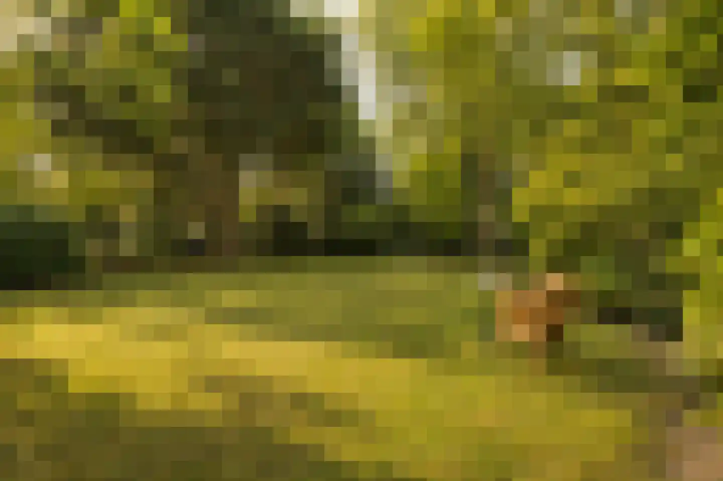 Marijkeweg 23 Ouddorp thumbnail 42
