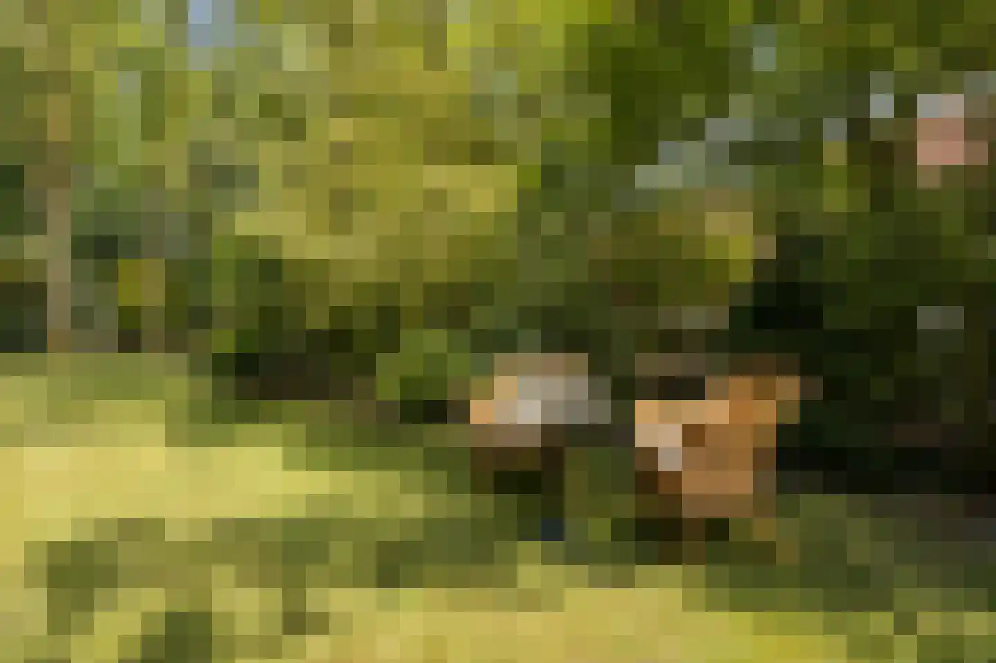 Marijkeweg 23 Ouddorp thumbnail 43