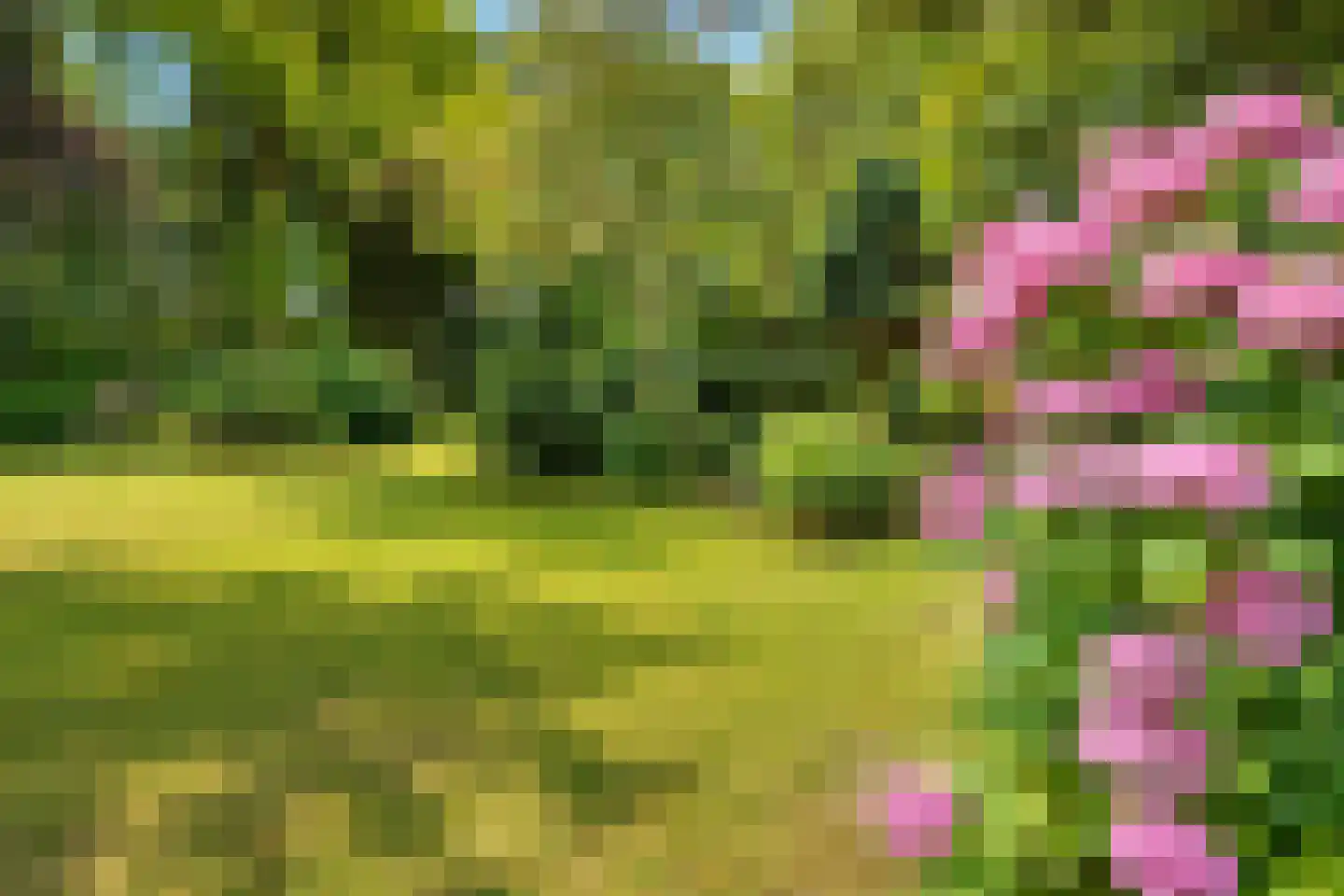 Marijkeweg 23 Ouddorp thumbnail 44