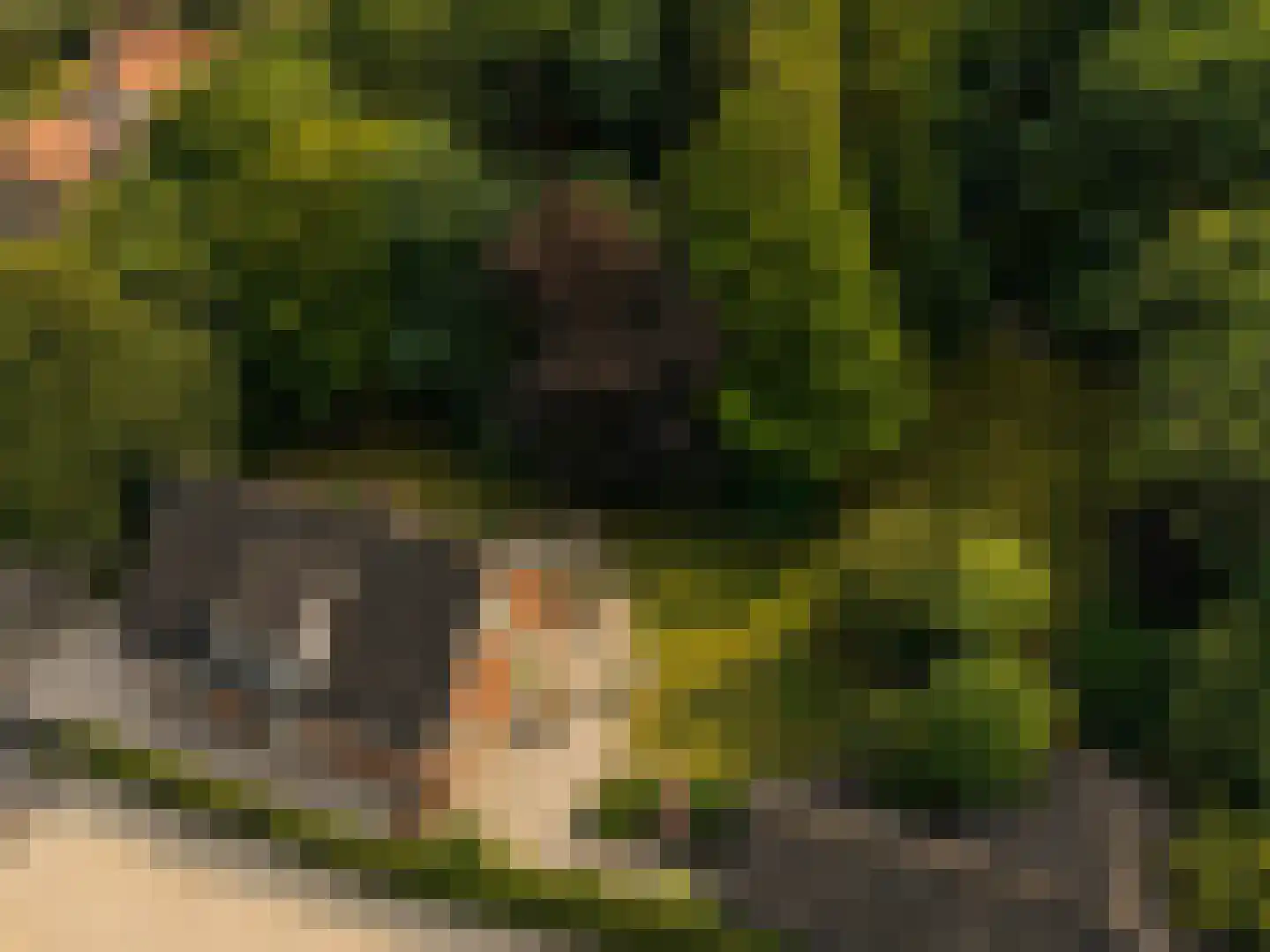 Marijkeweg 23 Ouddorp thumbnail 45