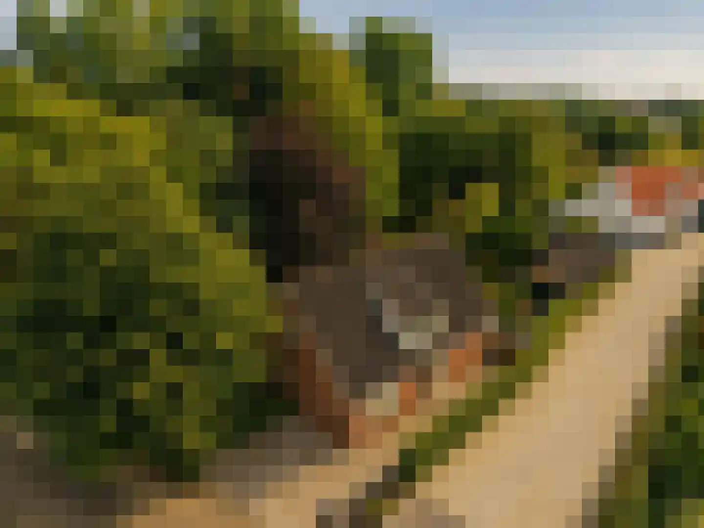 Marijkeweg 23 Ouddorp thumbnail 46