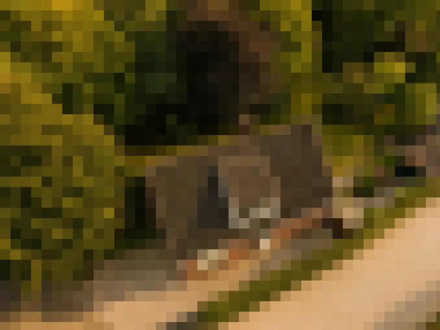 Marijkeweg 23 Ouddorp thumbnail 47