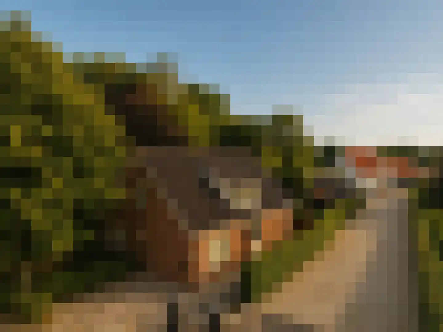 Marijkeweg 23 Ouddorp thumbnail 48