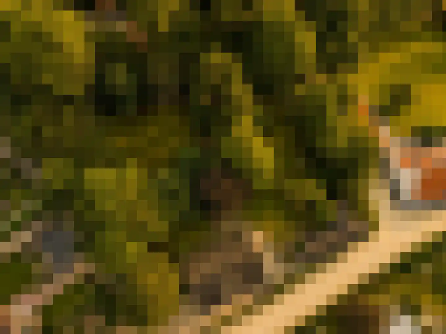Marijkeweg 23 Ouddorp thumbnail 49