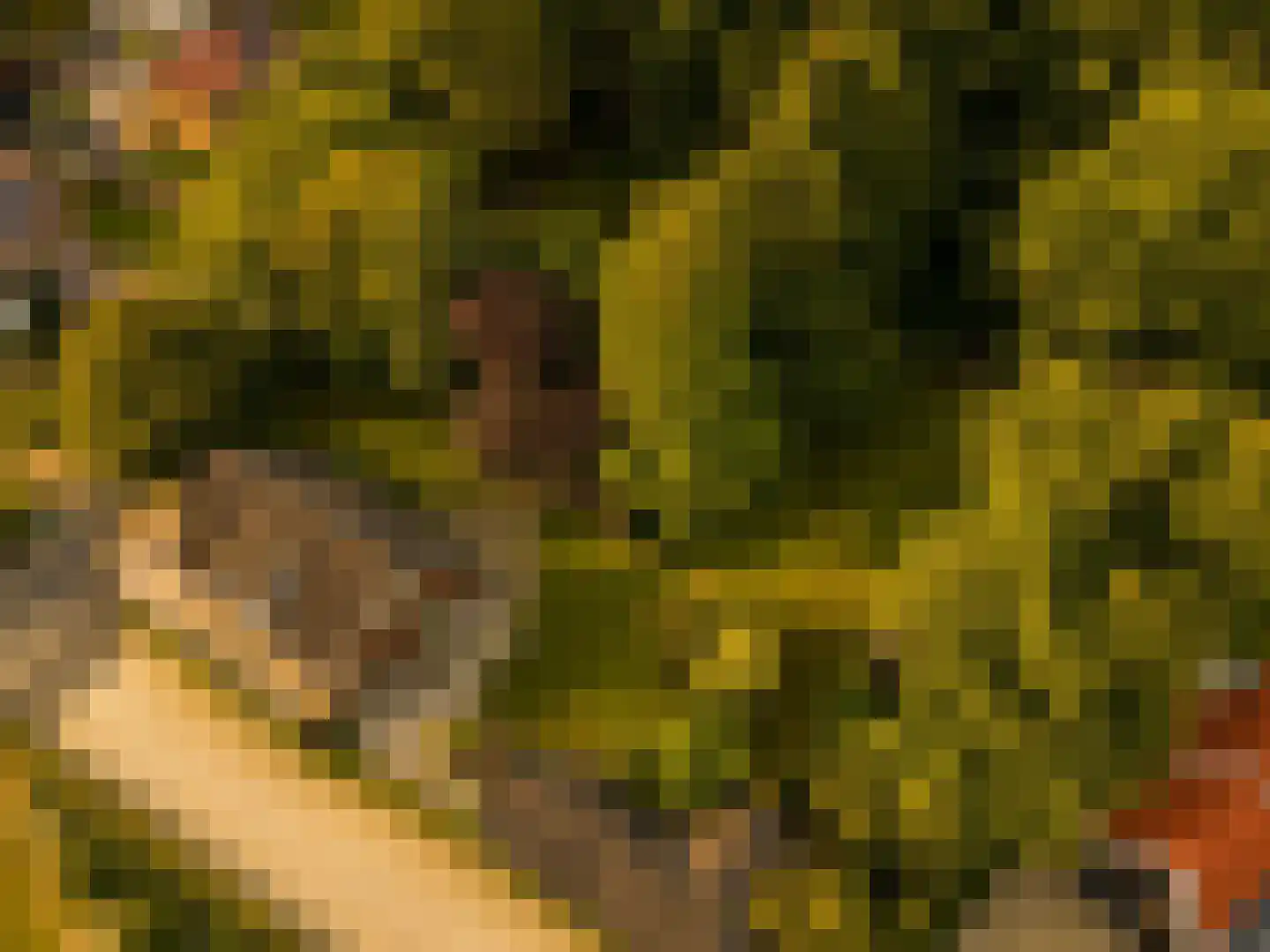Marijkeweg 23 Ouddorp thumbnail 50