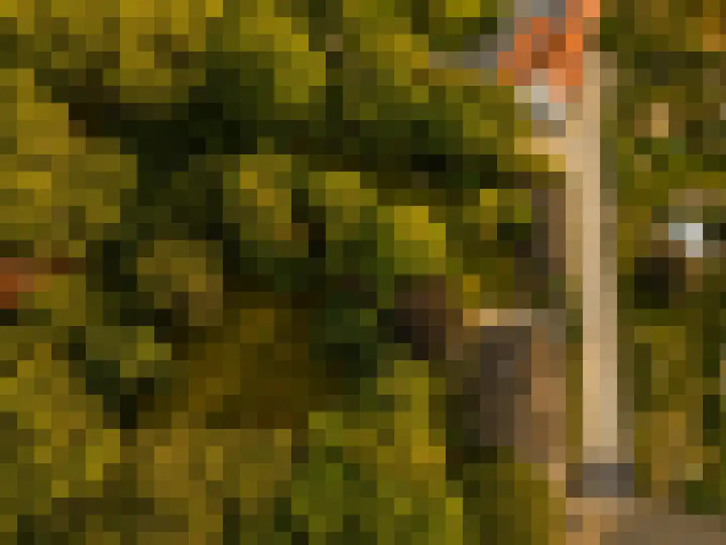Marijkeweg 23 Ouddorp thumbnail 51