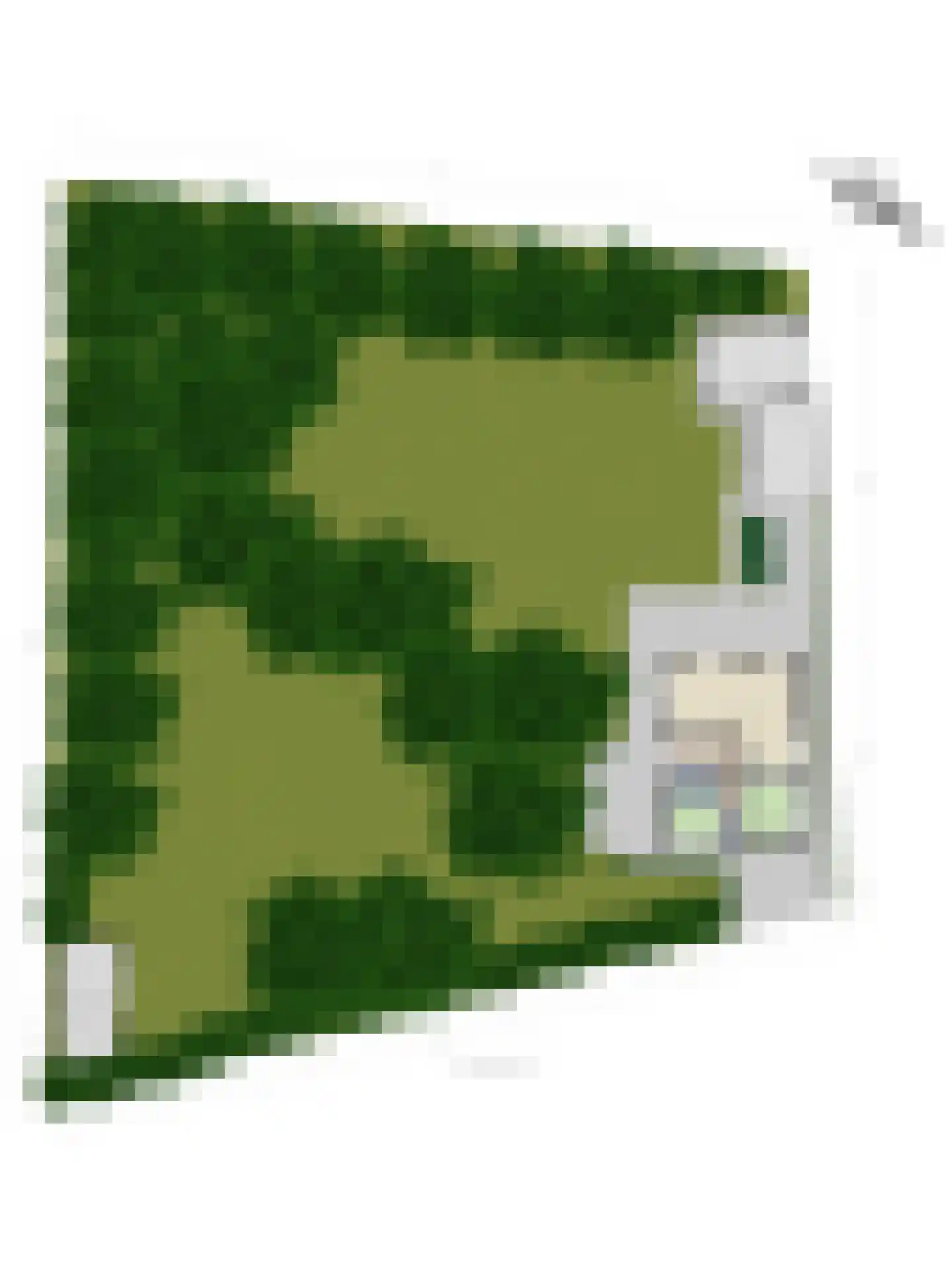 Marijkeweg 23 Ouddorp thumbnail 55