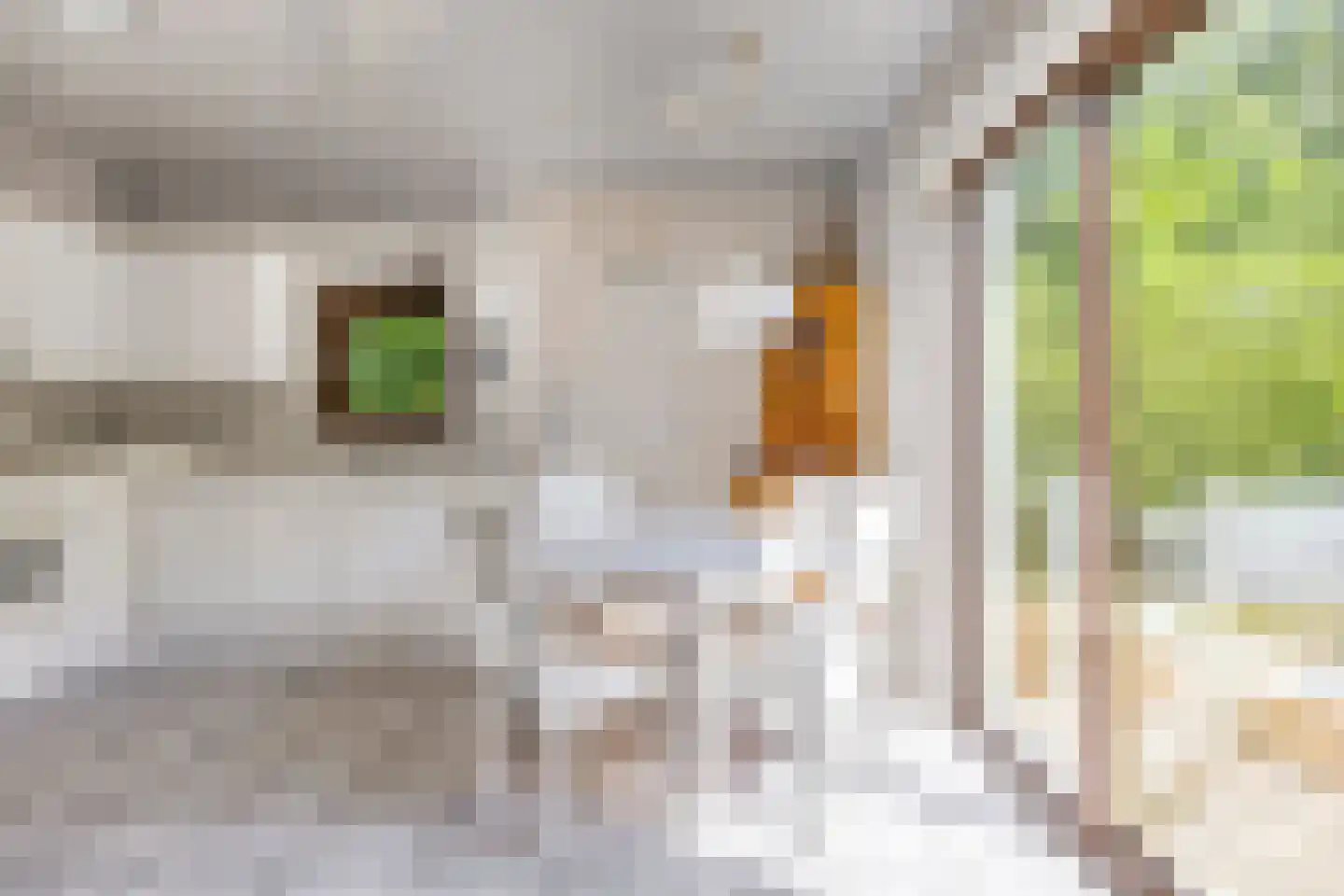 Marijkeweg 38 Ouddorp thumbnail 14