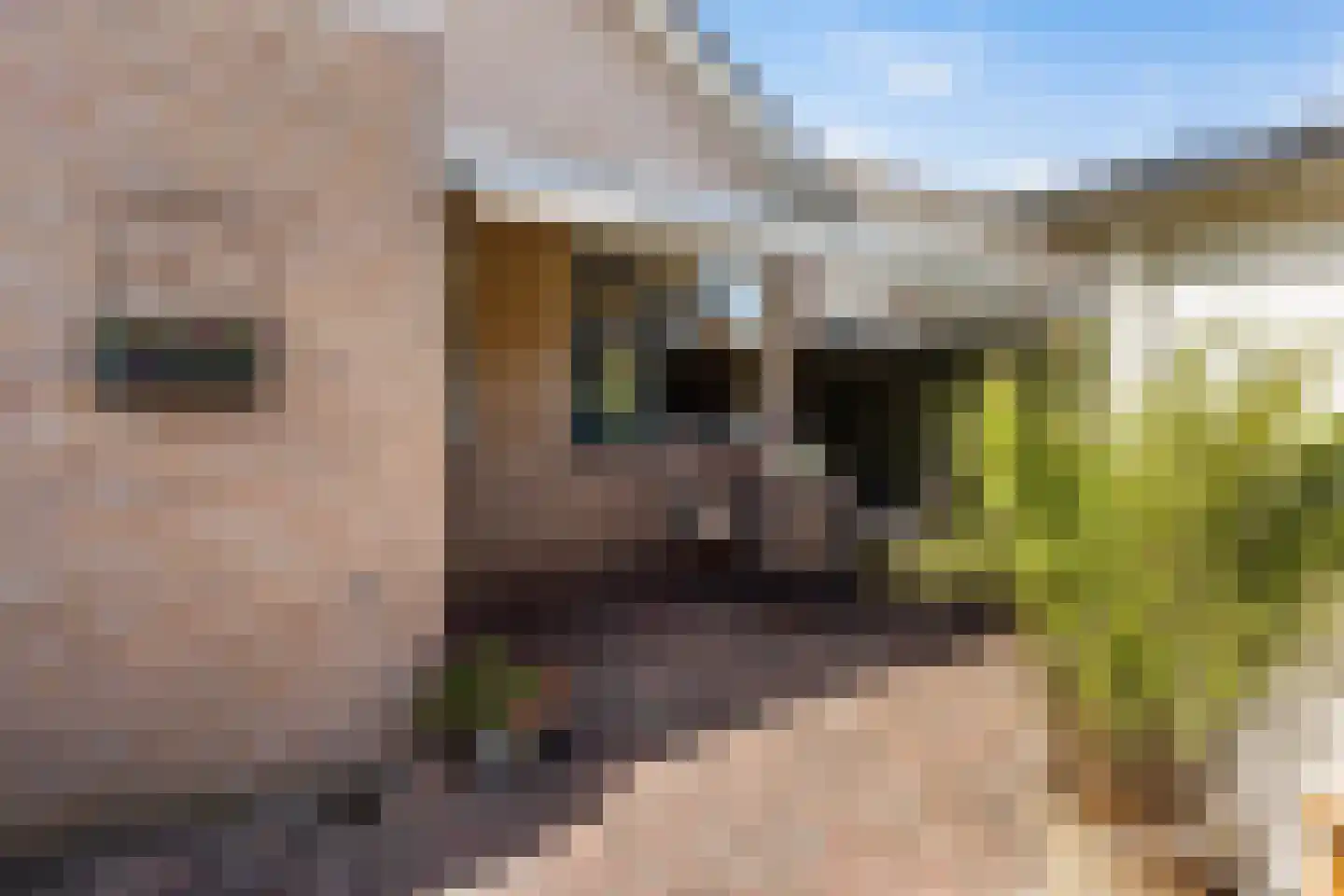 Marijkeweg 48 Vaassen thumbnail 27