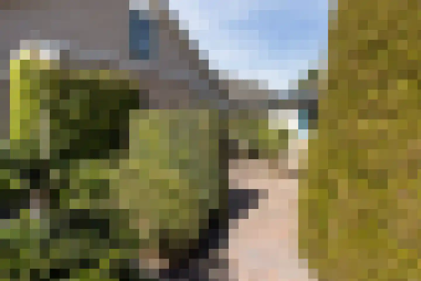 Marijkeweg 48 Vaassen thumbnail 29