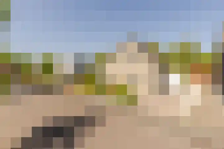 Marijnenlaan 11 Vlijmen foto 2