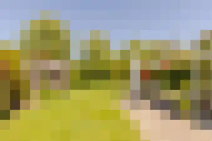 Marijnenlaan 11 Vlijmen foto 3