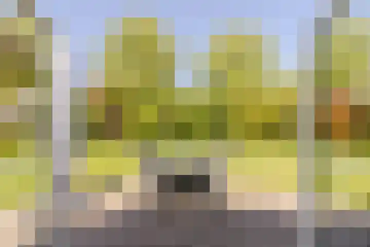 Marijnenlaan 11 Vlijmen thumbnail 33