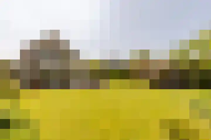 Marijnenlaan 11 Vlijmen thumbnail 34