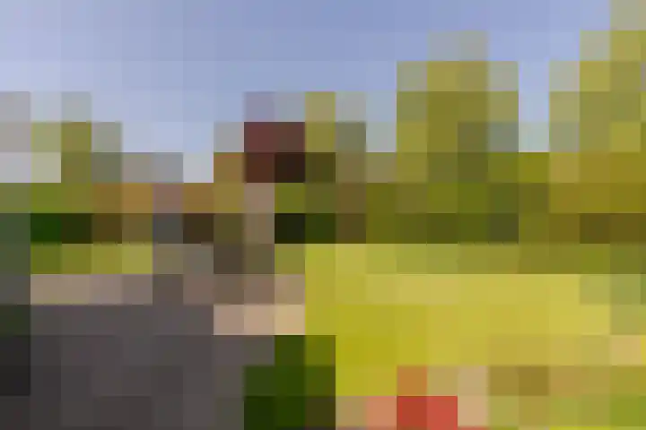 Marijnenlaan 11 Vlijmen thumbnail 35