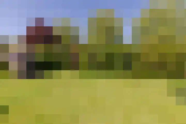 Marijnenlaan 11 Vlijmen thumbnail 36