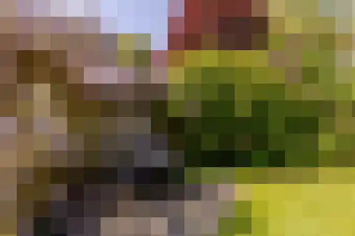 Marijnenlaan 11 Vlijmen thumbnail 37