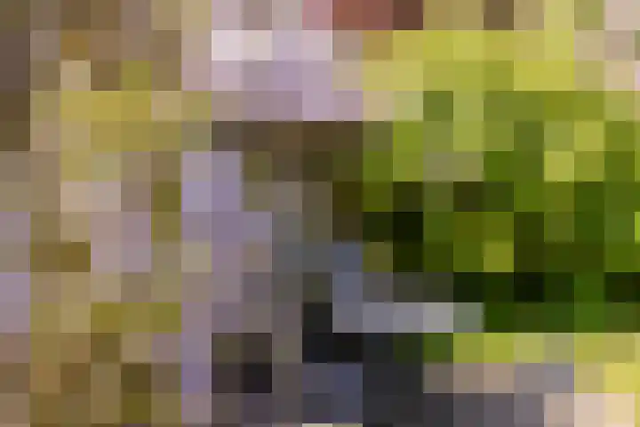 Marijnenlaan 11 Vlijmen thumbnail 38