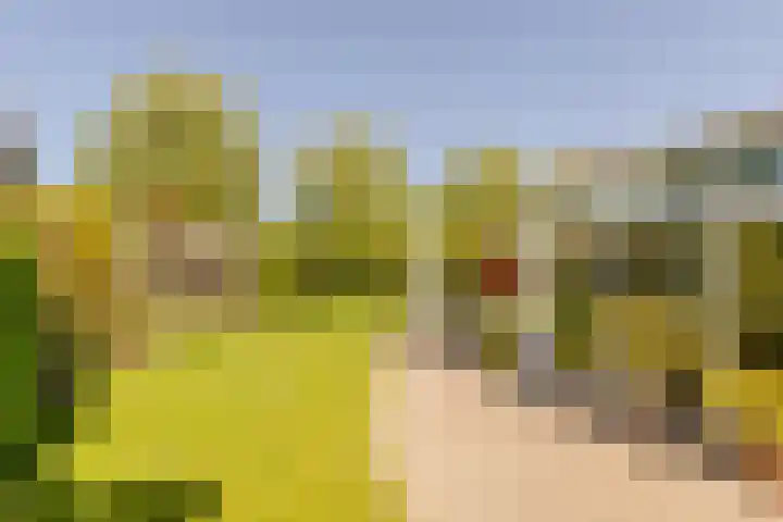 Marijnenlaan 11 Vlijmen thumbnail 39