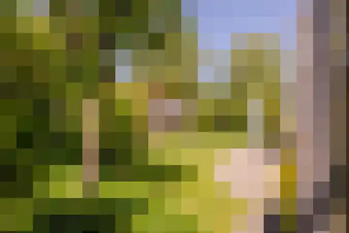 Marijnenlaan 11 Vlijmen thumbnail 40
