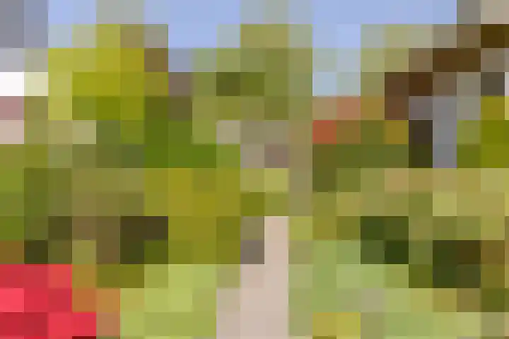 Marijnenlaan 11 Vlijmen thumbnail 41