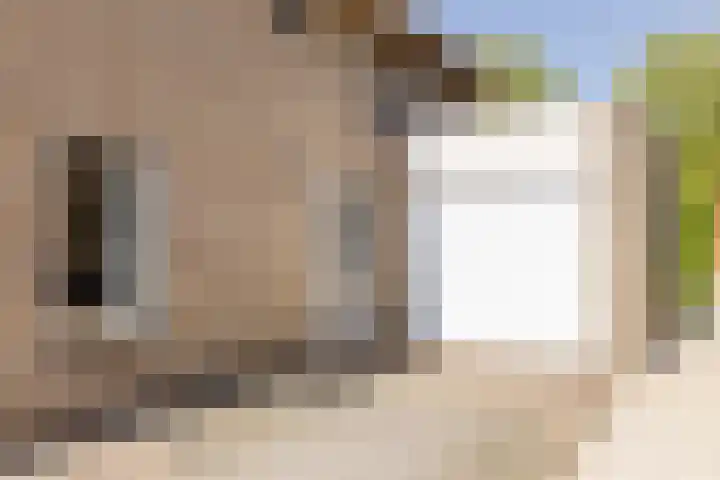 Marijnenlaan 11 Vlijmen thumbnail 44