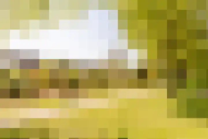 Marijnenlaan 11 Vlijmen thumbnail 47