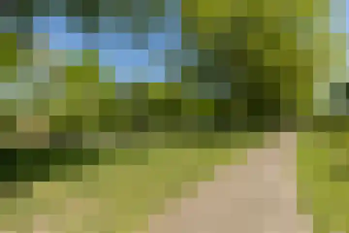 Marijnenlaan 11 Vlijmen thumbnail 48