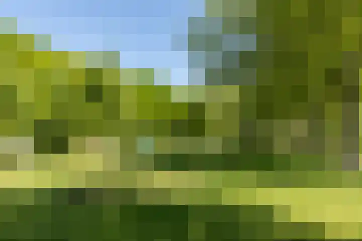 Marijnenlaan 11 Vlijmen thumbnail 49