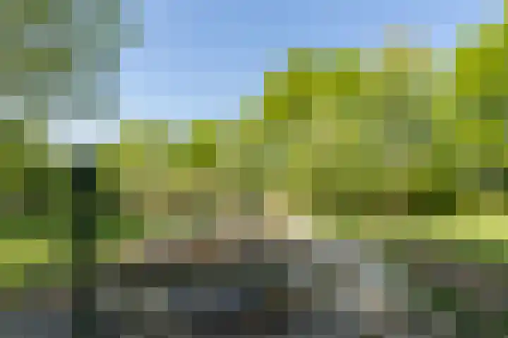 Marijnenlaan 11 Vlijmen thumbnail 50