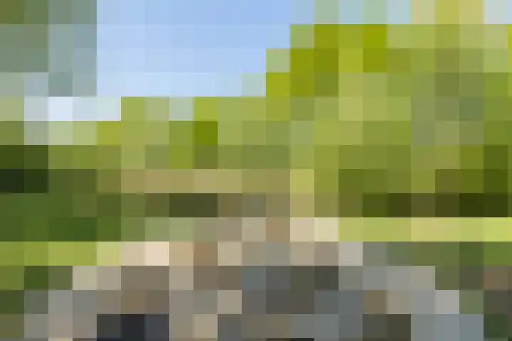 Marijnenlaan 11 Vlijmen thumbnail 51