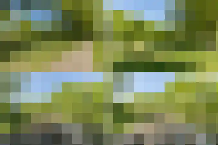 Marijnenlaan 11 Vlijmen thumbnail 52