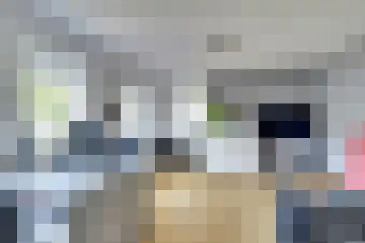 Marijnenlaan 38 Vlijmen thumbnail 20
