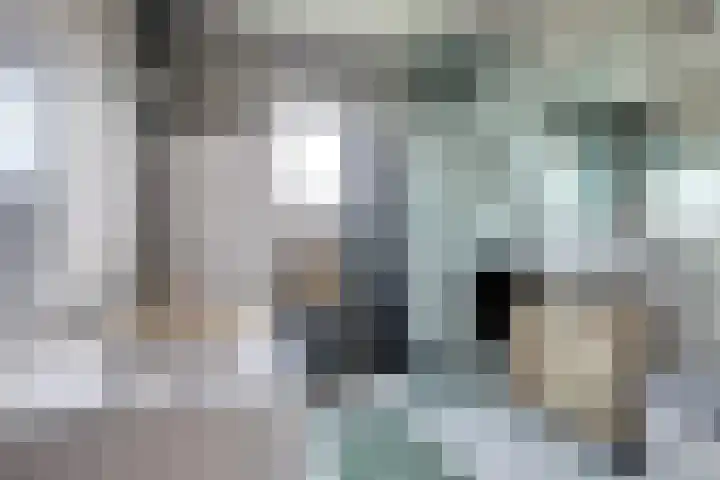 Marijnenlaan 38 Vlijmen thumbnail 23