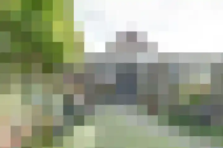 Marijnenlaan 38 Vlijmen thumbnail 29