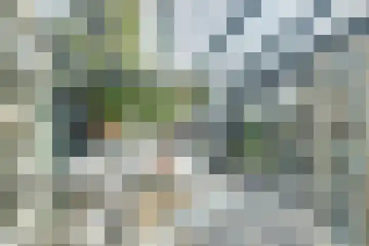 Marijnenlaan 38 Vlijmen thumbnail 30