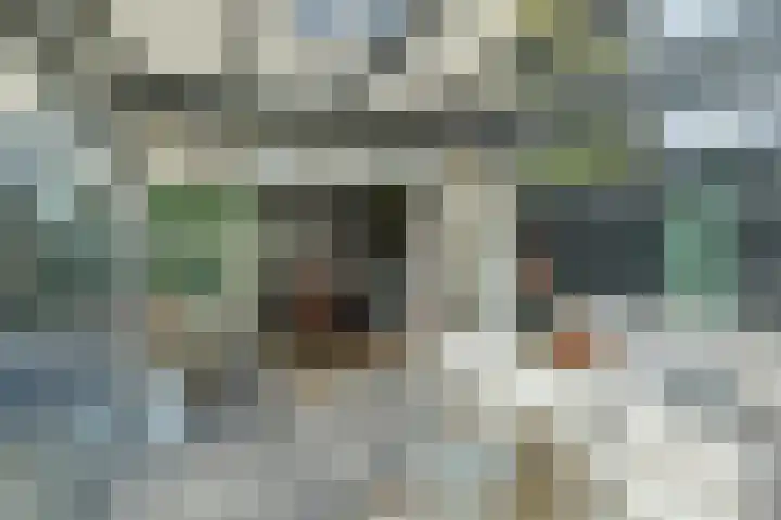 Marijnenlaan 38 Vlijmen thumbnail 31