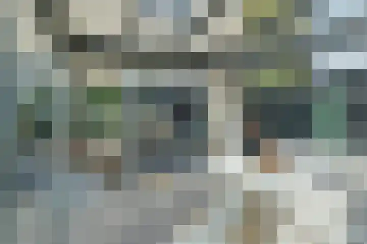 Marijnenlaan 38 Vlijmen thumbnail 32