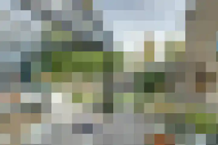 Marijnenlaan 38 Vlijmen thumbnail 33