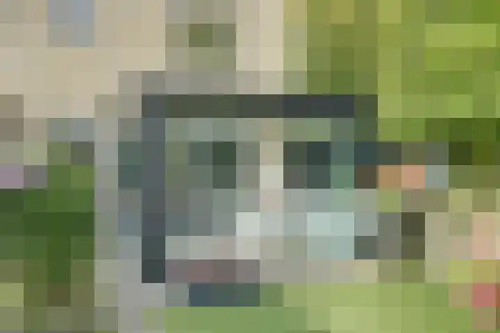 Marijnenlaan 38 Vlijmen thumbnail 36