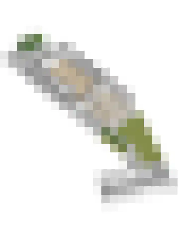 Marijnenlaan 38 Vlijmen thumbnail 43