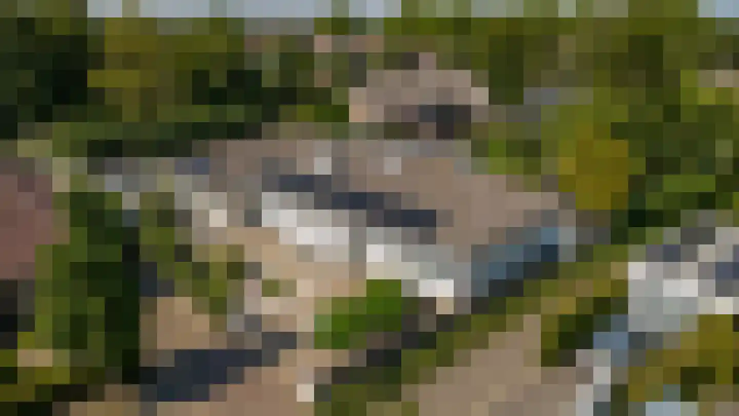 Marijnenlaan 7 Vlijmen