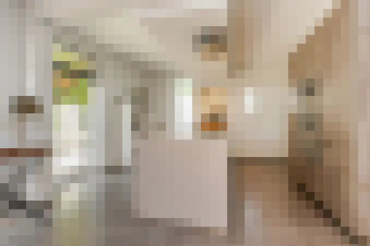 Marijnenlaan 7 Vlijmen thumbnail 11