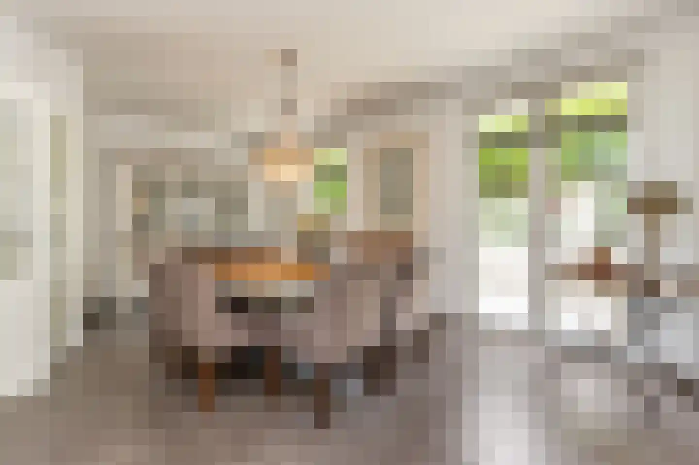 Marijnenlaan 7 Vlijmen thumbnail 12